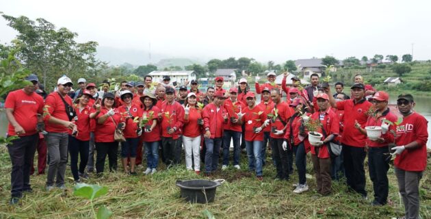 HUT Emas PDI-P, Kader di Manggarai Mananam Pohon dan Bersihkan Pasar