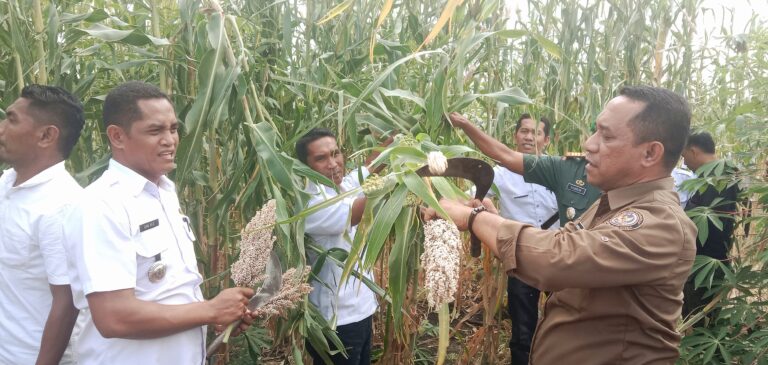 IMG_20230118_152745~2