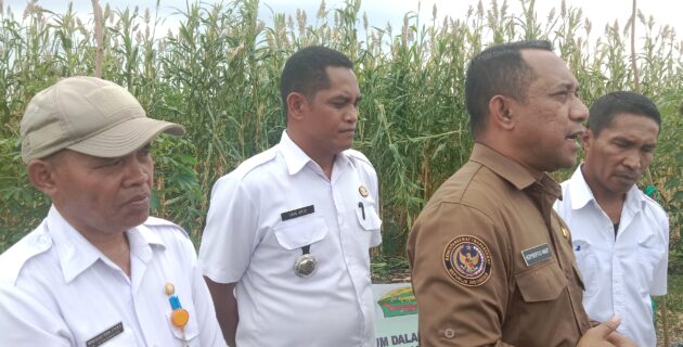 Mei-Juli, Persawahan pada DI Wae Mantar II akan Ditanami Kedelai