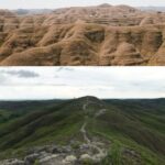 Bukit Wairinding: Pesona Sabana Dua Musim yang Memukau di Sumba
