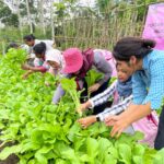 Koordinator Srikandi PLN Bali-Nusra Raih Pos Kupang Award Lewat Program Pemberdayaan Ekonomi dan Penurunan Angka Stunting di NTT