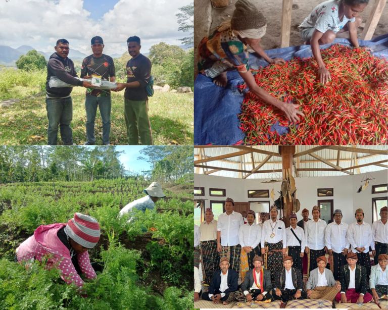 Brown Aesthetic Family Photo Collage_20240315_142606_0000