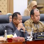 Komisi VI DPR Setujui PLN Dapat PMN Rp3 Triliun untuk Listrik Daerah Terpencil