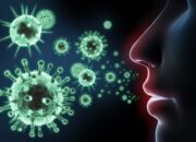 Virus HMPV Mulai Masuk Indonesia: Apa Bedanya dengan COVID-19