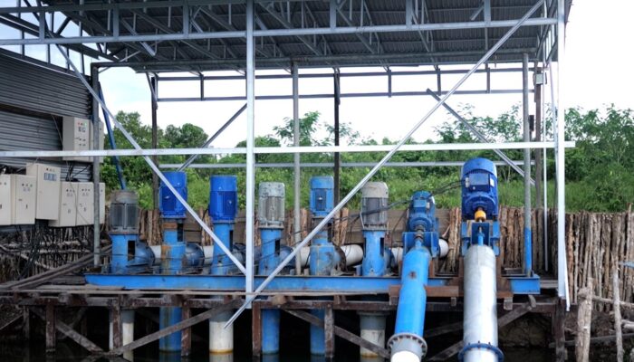 Dorong Modernisasi Pertanian, PLN Raih 53.539 Pelanggan Baru dengan Electrifying Agriculture di 2024