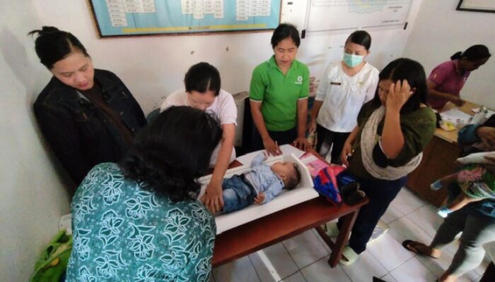 TP PKK Manggarai Pantau Posyandu di Kelurahan Pau, Pastikan Layanan Balita Sesuai Prosedur