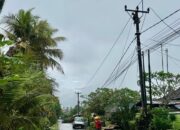 Listrik Bali Kembali Normal, PLN Kerahkan 973 Personel Tangani Banjir dan Longsor