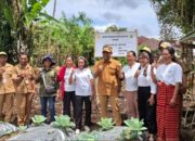 25 KWT di Manggarai Dorong Ketahanan Pangan dan Penuhi Pasar MBG