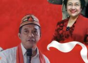 PDIP NTT Tetapkan Bupati Hery Nabit Sebagai Wakil Ketua DPD Bidang Pemerintahan Daerah