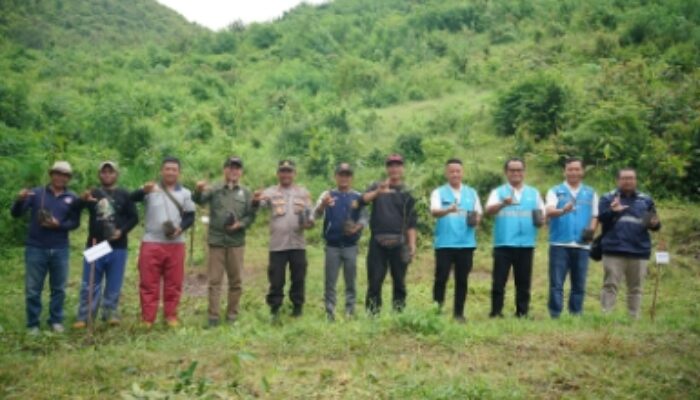 Menanam Harapan di DAS Manni, Komitmen Hijau PLN untuk Sumbawa