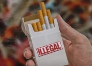 Rokok Ilegal Merajalela di Manggarai Raya, Kredibilitas Pengawasan Dipertanyakan