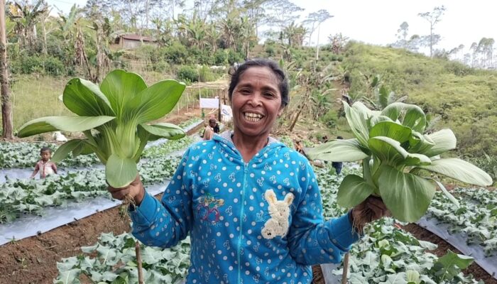 Dampak Nyata Transisi Energi: Kisah Perubahan Hidup Warga di Sekitar PLTP Ulumbu