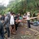 Diterpa Angin Kencang, Pohon Tumbang Tewaskan Penyuluh KB Manggarai di Jalur Borong–Ruteng