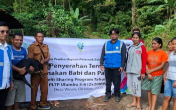 PLN Beri Bantuan Ternak Babi, Warga Wewo Harap Program Terus Berlanjut