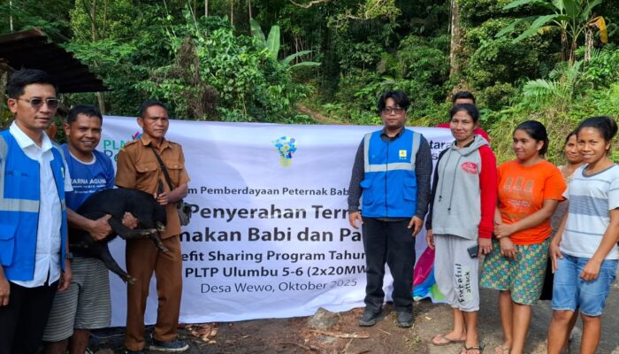 PLN Beri Bantuan Ternak Babi, Warga Wewo Harap Program Terus Berlanjut