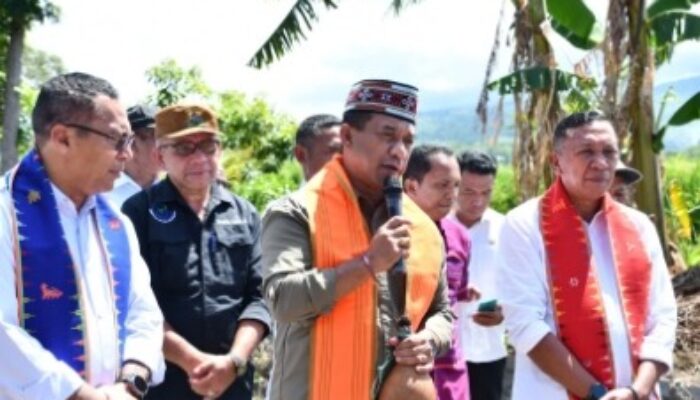 Bupati Hery Nabit Launching “Molas Manggarai”, Beras Kemasan Premium Berbasis Desa Berdaya