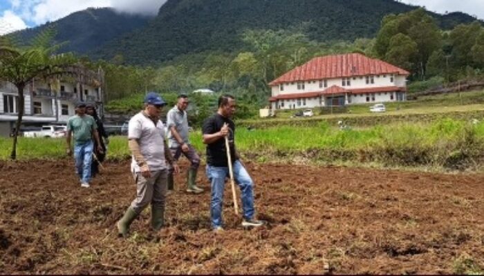 Transformasi Lahan Tidur, Pemkab Manggarai Garap Area Golo Dukal Jadi Produktif
