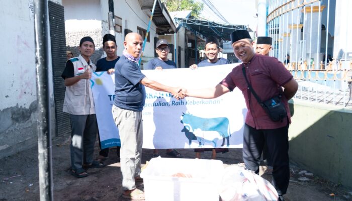 PLN UIP Nusra Wujudkan Kepedulian Sosial Lewat Program Kurban 1447 Hijriah