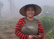 Masyarakat Adat Wewo Sambut Positif Program Agroforestry Hetero dari PLN