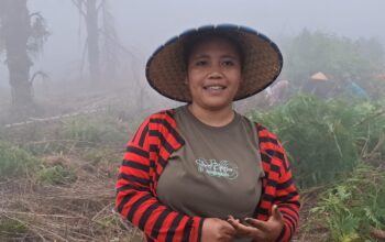 Masyarakat Adat Wewo Sambut Positif Program Agroforestry Hetero dari PLN