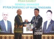 RDW Manurung Resmi Pimpin PLN UIP Nusra, Siap Percepat Pembangunan Infrastruktur Ketenagalistrikan