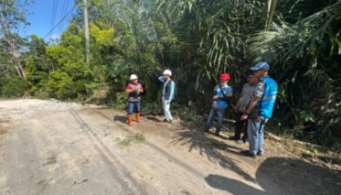 PLN Libatkan Warga Adat Wewo dalam Pembangunan Jalan Akses PLTP Ulumbu Unit 5