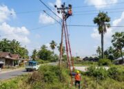 PLN Siaga Penuh Kawal HUT ke-81 RI, 11 Gardu Induk di Flores Kembali Bertegangan Pascagempa