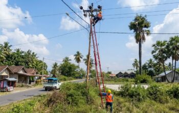 PLN Siaga Penuh Kawal HUT ke-81 RI, 11 Gardu Induk di Flores Kembali Bertegangan Pascagempa