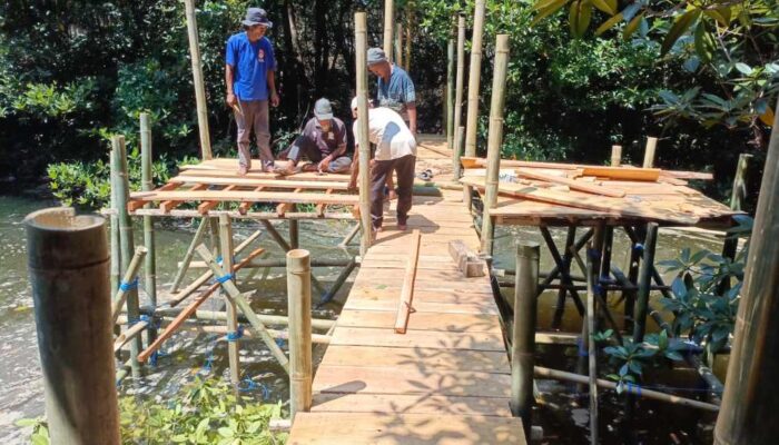 Pulihkan Ekosistem Pesisir, PLN Tanam 3.000 Mangrove di Padak Guar
