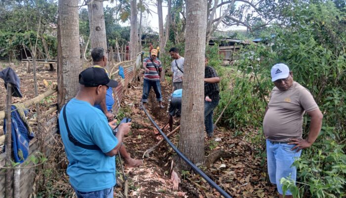 PLN Uip Nusra Perluas Jaringan Air Bersih untuk Masyarakat di Sekitar PLTP Mataloko