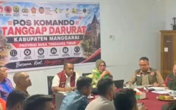 Deputi Logistik BNPB Nilai Penanganan Gempa Pemkab Manggarai Berjalan Maksimal