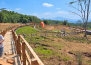 PLN Hadirkan Geowisata Mataloko, Destinasi Edukasi Panas Bumi Ditargetkan Rampung Awal 2027