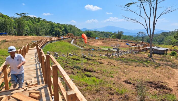 PLN Hadirkan Geowisata Mataloko, Destinasi Edukasi Panas Bumi Ditargetkan Rampung Awal 2027