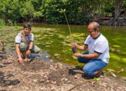 PLN UIP Nusra Kembangkan Ekowisata Mangrove Padak Guar, Dorong Ekonomi Masyarakat Pesisir